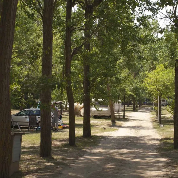 camping-el-vedado-vallromanes-fihhx