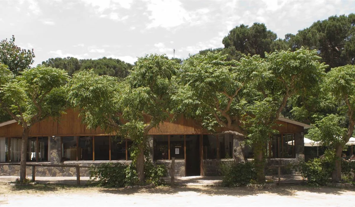 camping-el-vedado-vallromanes-juzz4
