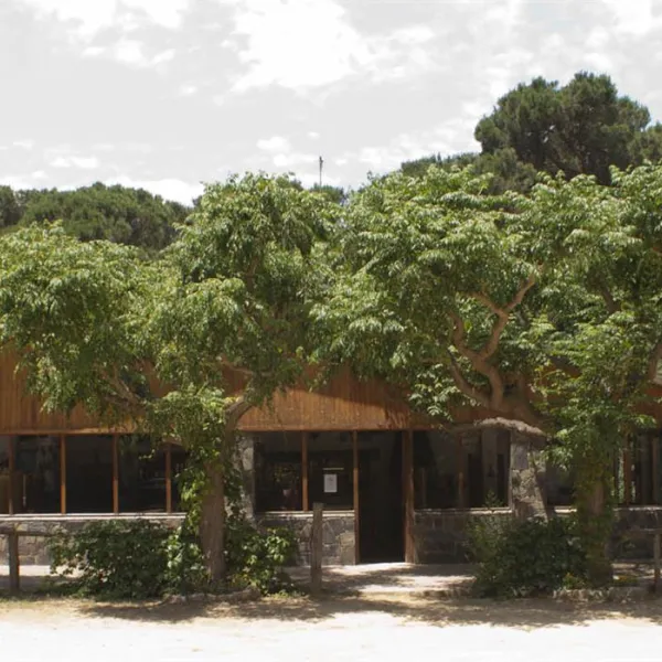 camping-el-vedado-vallromanes-juzz4
