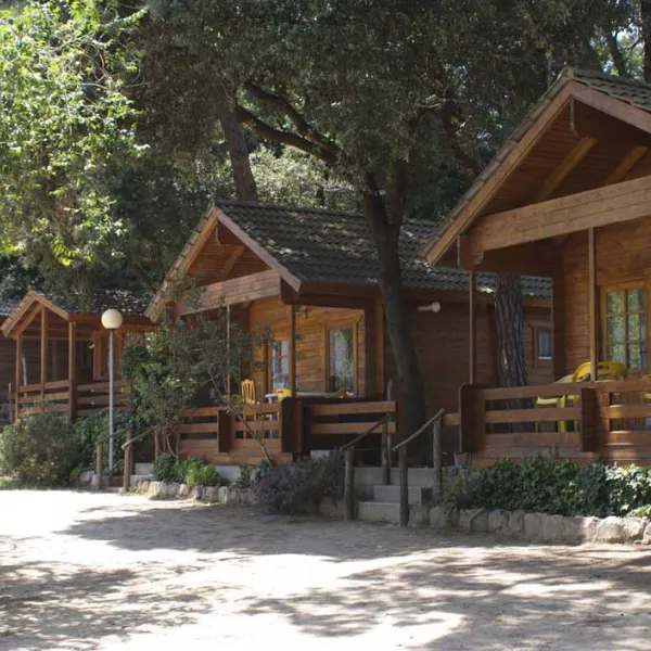 camping-el-vedado-vallromanes-lp8fp