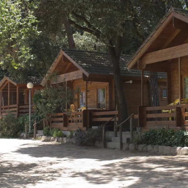 Camping el Vedado