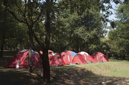 camping-el-vedado-vallromanes-wmfhv