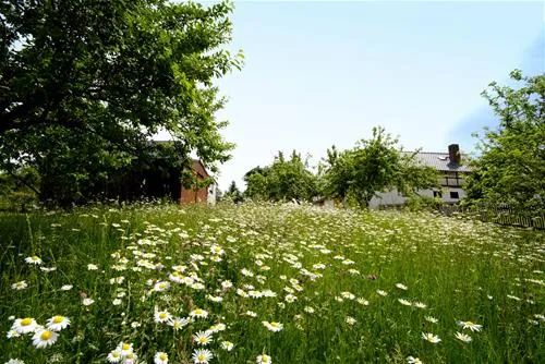 campingplatz-mannichswalde-mannichswalde-azhwo