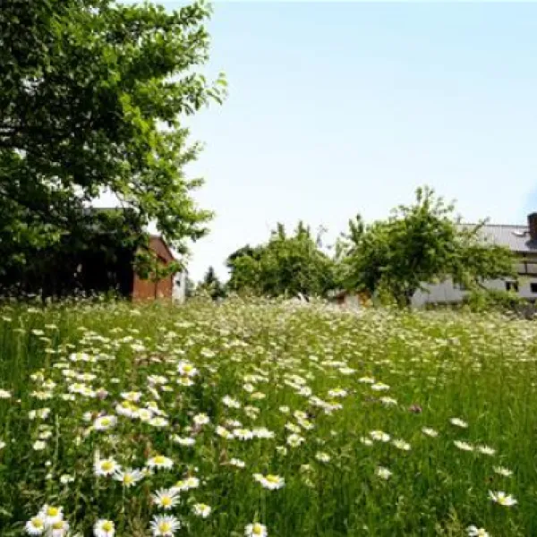 campingplatz-mannichswalde-mannichswalde-azhwo