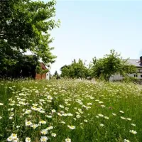 campingplatz-mannichswalde-mannichswalde-azhwo
