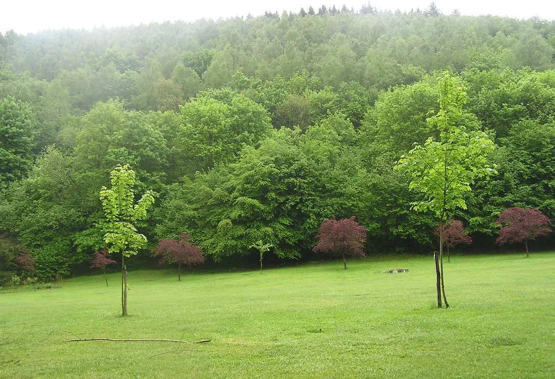 camping-du-pouhou-la-rocheenardenne-nynzk