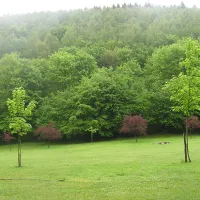 camping-du-pouhou-la-rocheenardenne-nynzk