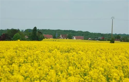 yelloh-village-parc-du-val-de-loire-mesland-uewy6