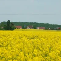 yelloh-village-parc-du-val-de-loire-mesland-uewy6