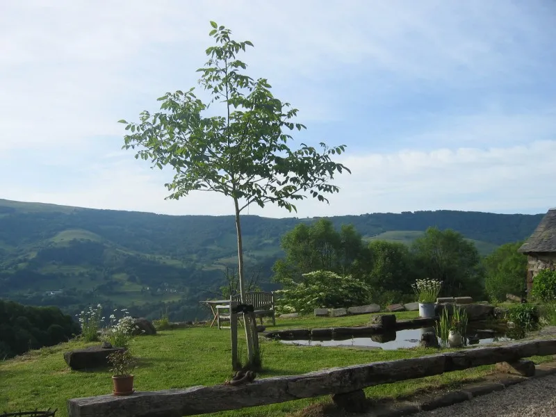 camping-le-clou-thiezac-fppue