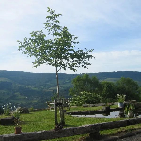 camping-le-clou-thiezac-fppue