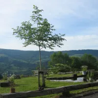 camping-le-clou-thiezac-fppue