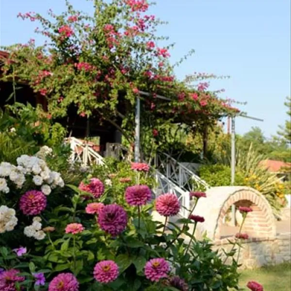 campsite-ionion-beach-glifa-vm7q7