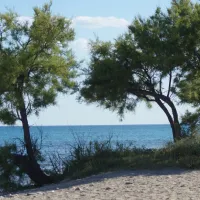 camping-playa-y-fiesta-montroig-del-camp-ehyub