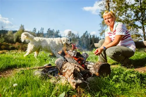 camping-ozolkalns-drabesi-parish-ecafr