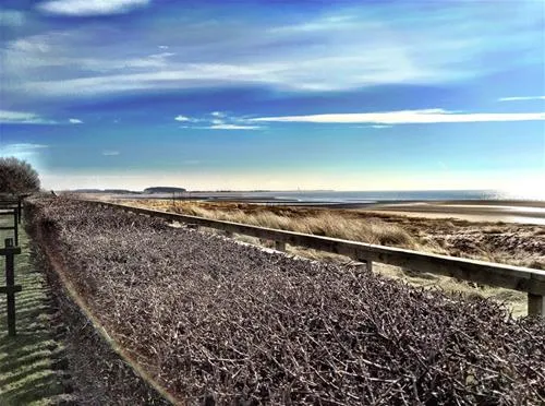 riverview-caravan-park-monifieth-7rmwb