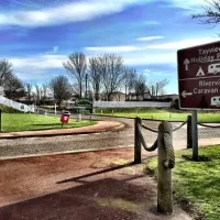riverview-caravan-park-monifieth-mxjzj