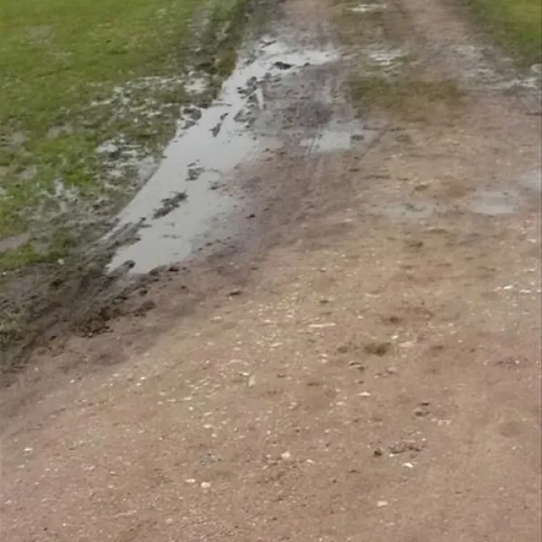 NordseeCamping zum Seehund