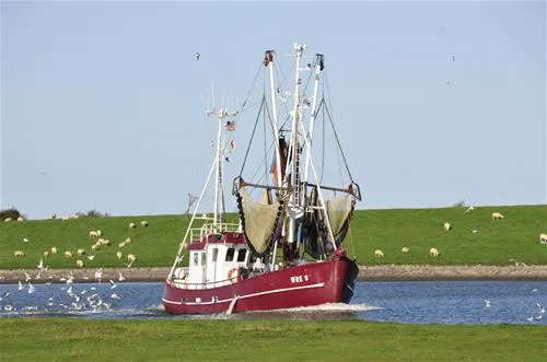 nordseecamping-zum-seehund-husumsimonsberg-he5xe
