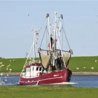 nordseecamping-zum-seehund-husumsimonsberg-he5xe