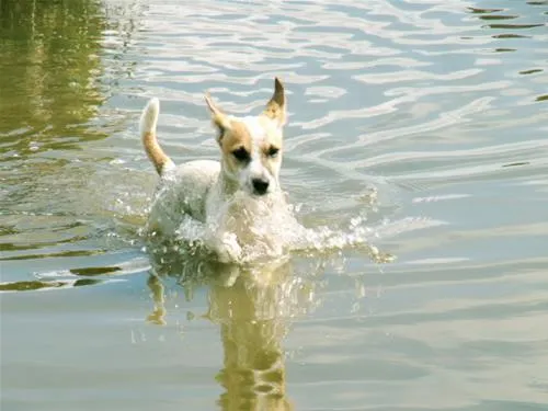 nordseecamping-zum-seehund-husumsimonsberg-qaksv
