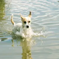 nordseecamping-zum-seehund-husumsimonsberg-qaksv