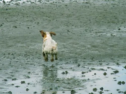 nordseecamping-zum-seehund-husumsimonsberg-zejun