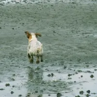 nordseecamping-zum-seehund-husumsimonsberg-zejun