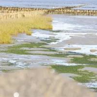 nordseecamping-zum-seehund-husumsimonsberg-zpg20