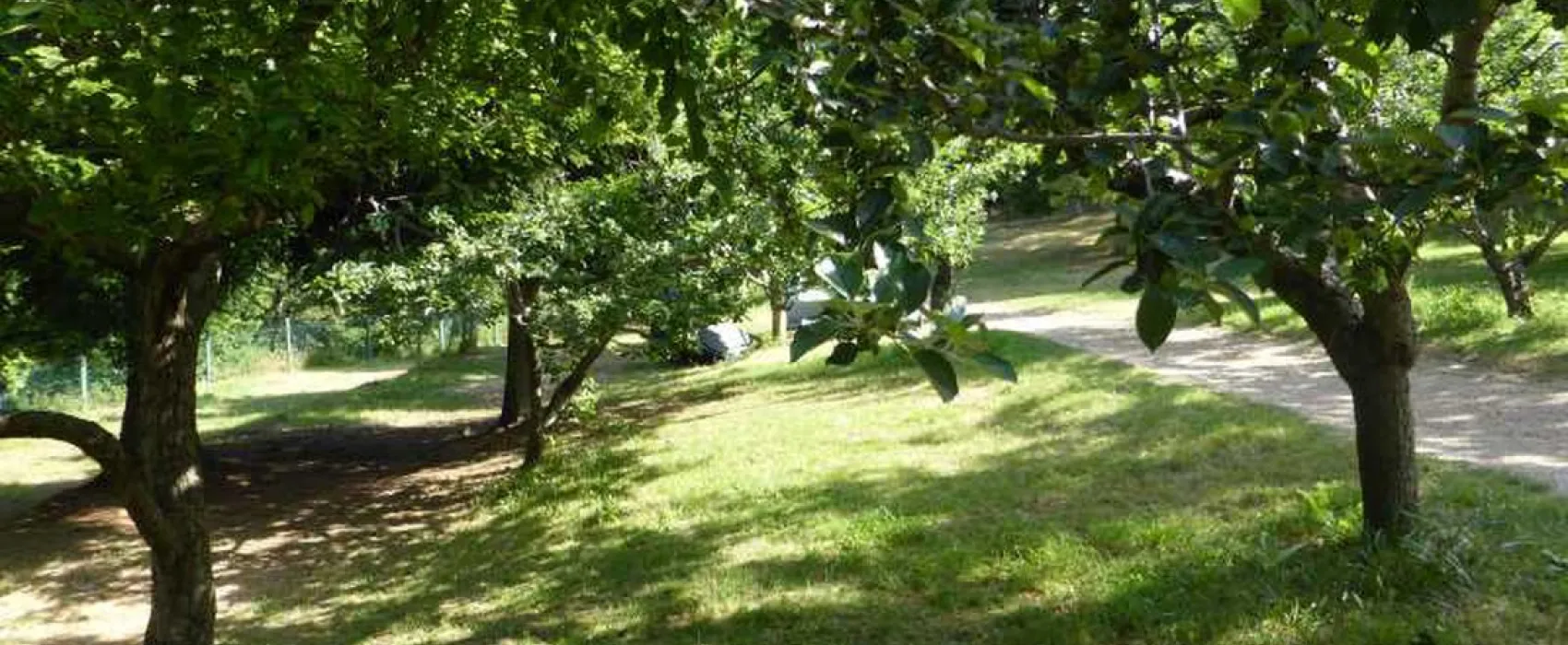 Camping aire naturelle Le Soleil