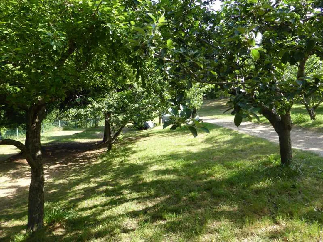 camping-aire-naturelle-le-soleil-vivario-tcnyg