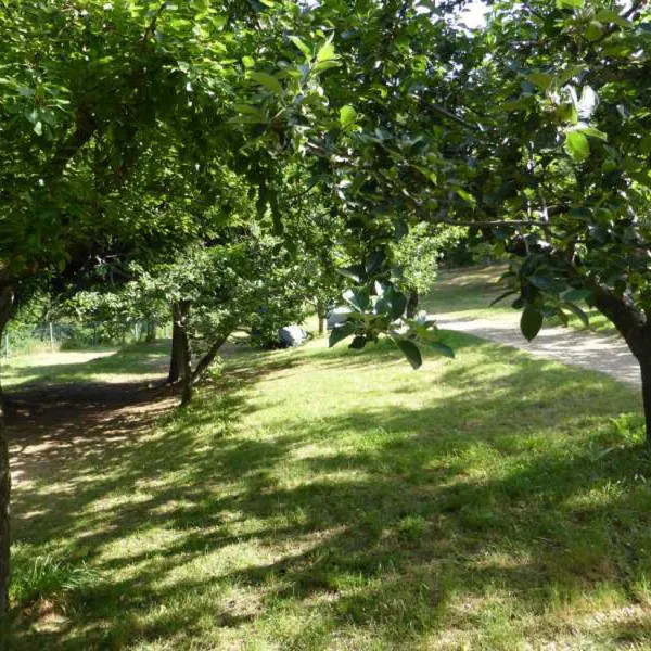 camping-aire-naturelle-le-soleil-vivario-tcnyg