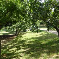 Camping aire naturelle Le Soleil