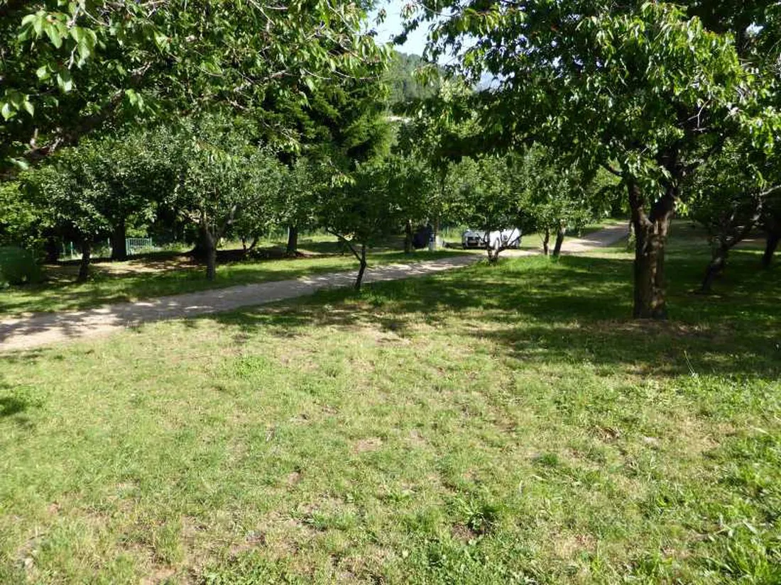 camping-aire-naturelle-le-soleil-vivario-zinaz