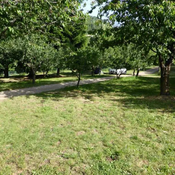 camping-aire-naturelle-le-soleil-vivario-zinaz