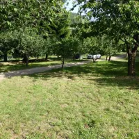 camping-aire-naturelle-le-soleil-vivario-zinaz