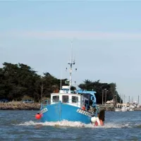 domaine-du-collet-les-moutiers-en-retz-rpat8