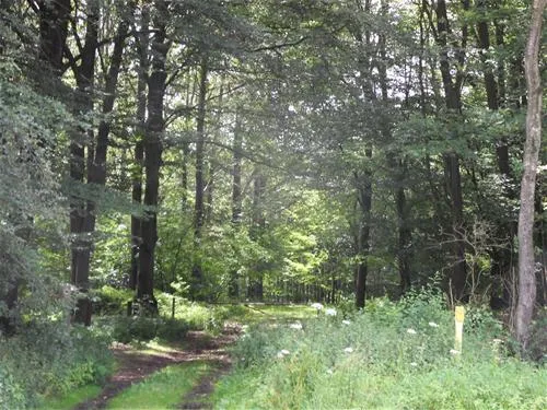 campingplatz-lippetal-hnxe-jxf4b