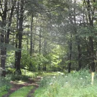 campingplatz-lippetal-hnxe-jxf4b