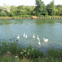 campingplatz-lippetal-hnxe-sfcp4