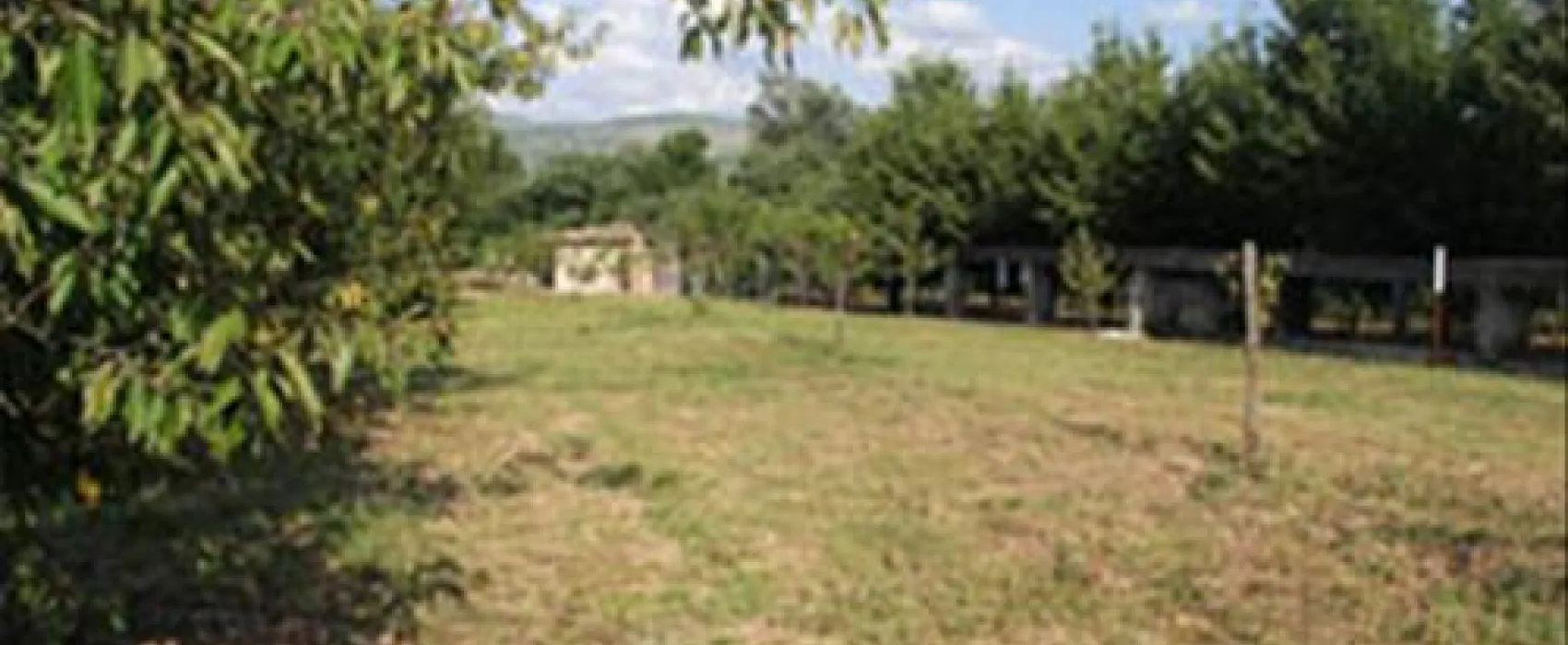 Autocamp Kolo