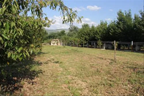autocamp-kolo-buna-vtvx0