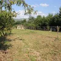 Autocamp Kolo