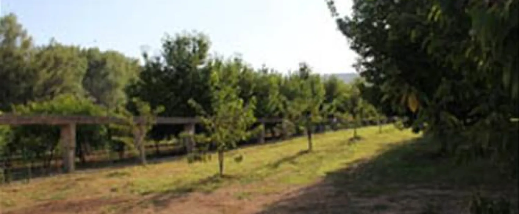 Autocamp Kolo