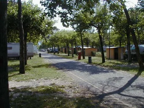 camping-sporting-center-montegrotte-terme-deiza