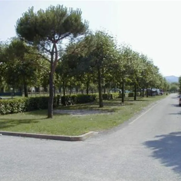 camping-sporting-center-montegrotte-terme-t8hai