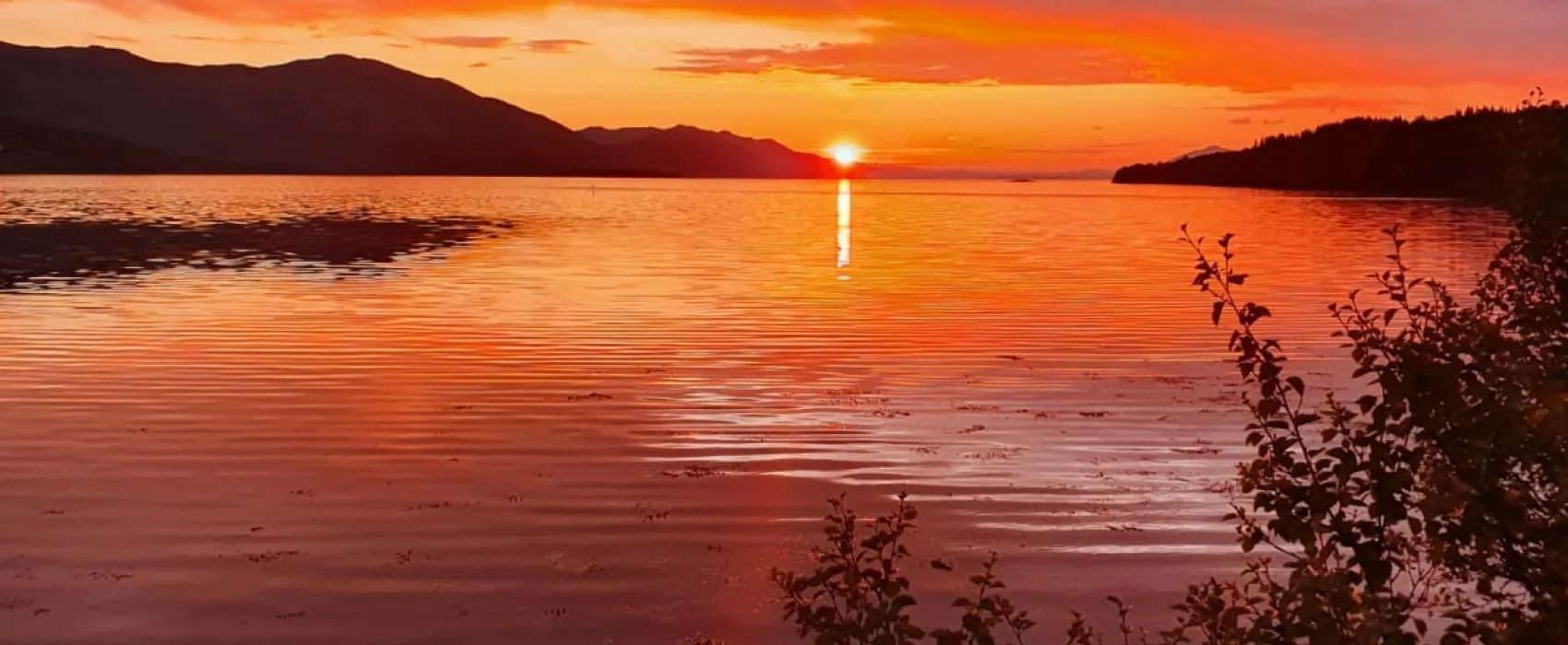 Senja Arctic Lodge   