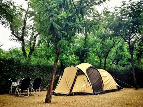 bassegoda-park-albany-cxune