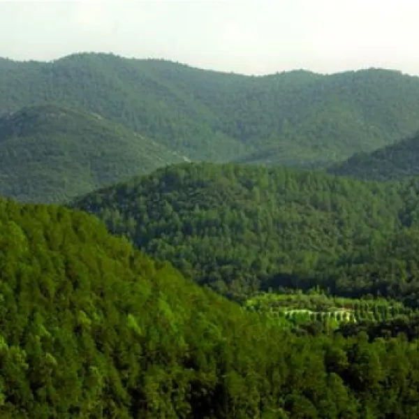 bassegoda-park-albany-hwbno