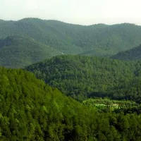 bassegoda-park-albany-hwbno